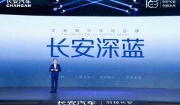 最新星光飞宠爆料2025,未来宠物界的璀璨之星